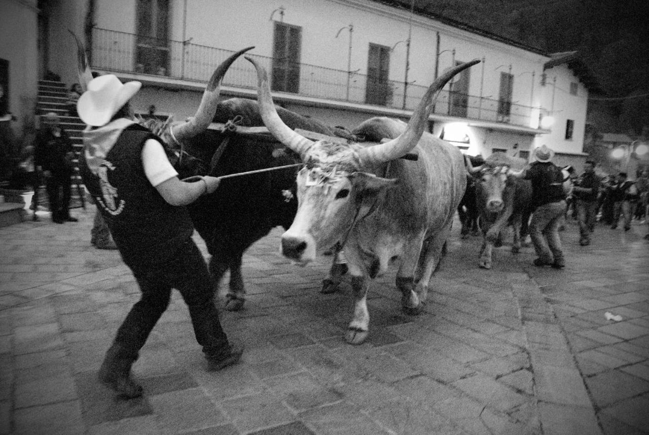 Tana Libera Tutti 1 Nature, Yourself, Love 维贾内洛 外观 照片